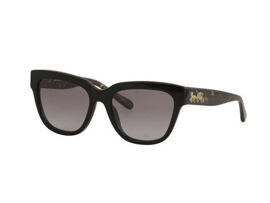Coach HC8262F (L1076) 500211 Black Square Sunglasses