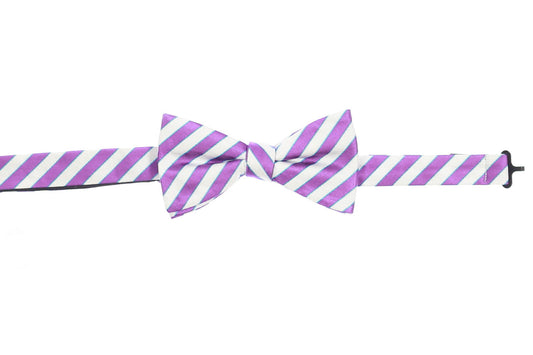 Countess Mara Men's Purple & White Plaid Pre-Tied Bow Tie