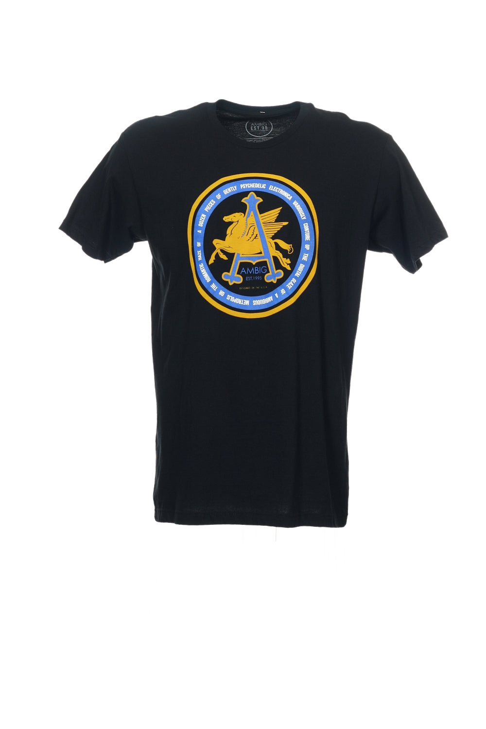 Ambig Men's Black T-Shirt
